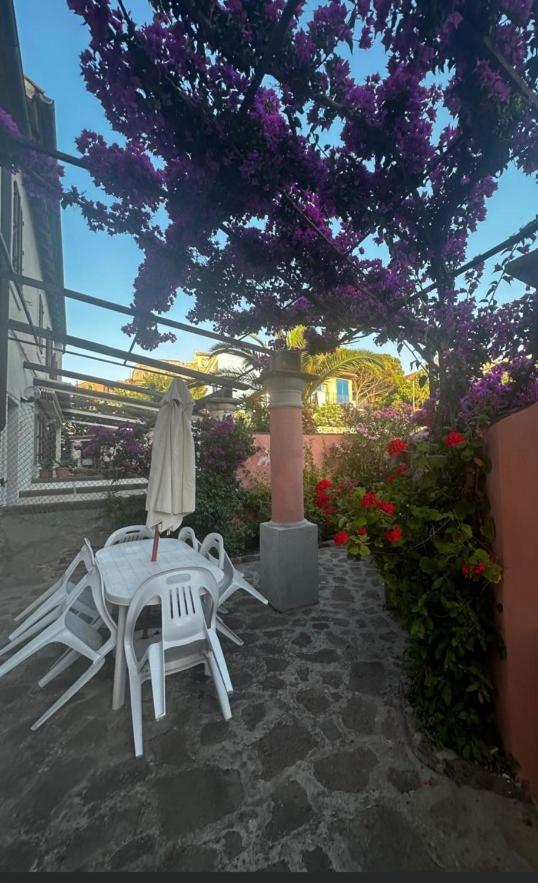 Vila Maison Des Amis Capraia Exteriér fotografie